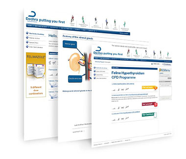 Dechra Academy screenshot